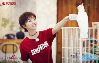 娱乐圈吃瓜王源,娱乐圈吃瓜王，揭秘明星幕后故事